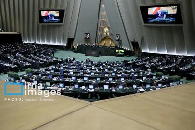  نخستین دستور مجلس در سال ۱۴۰۵/ لایحه یک فوریتی مقابله با جنایات بین المللی بررسی می‌شود