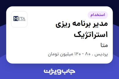  استخدام مدیر برنامه ریزی استراتژیک در متا