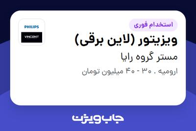  استخدام ویزیتور (لاین برقی) - آقا در مستر گروه رایا