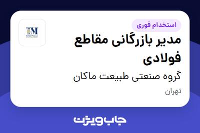  استخدام مدیر بازرگانی مقاطع فولادی در گروه صنعتی طبیعت ماکان