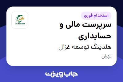  استخدام سرپرست مالی و حسابداری در هلدینگ توسعه غزال