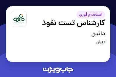  استخدام کارشناس تست نفوذ در داتین