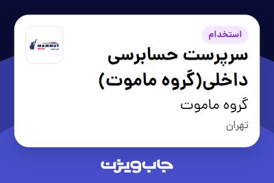  استخدام سرپرست حسابرسی داخلی(گروه ماموت) در گروه ماموت