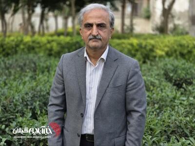  رئیس سازمان چای کشور:خرید برگ سبز چای امسال از سال گذشته پیشی گرفت