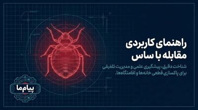 از بین بردن ساس