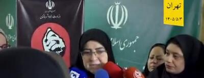 مهاجرانی: در خصوص مدیریت مصرف بنزین نیاز به راهبردهایی داریم