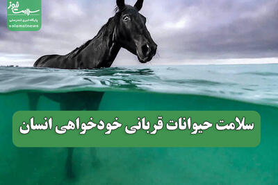  سلامت حیوانات قربانی خودخواهی انسان