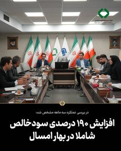  افزایش ۱۹۰ درصدی سود خالص شاملا در بهار امسال