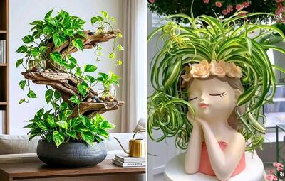  خوشگلترین چیدمان پتوس در خانه؛ ایده قرارگیری گیاه آپارتمانی رونده روی شیشه یا چوب