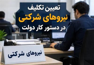 رفیعزاده: حذف شرکتهای واسطه بدون اصلاح قانون امکانپذیر نیست