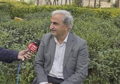  پیش‌بینی خرید 120 هزار تن برگ سبز چای‌ از باغداران ‌گیلان و مازندران - تسنیم