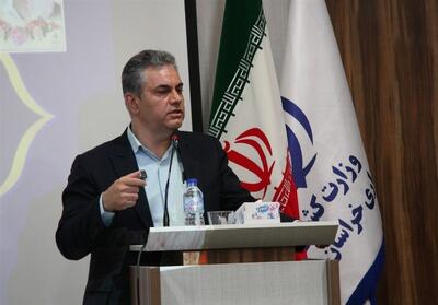  اجرای طرح مهتاب در خراسان جنوبی؛ کاهش تلفات شبکه برق تا 5.2 درصد - تسنیم