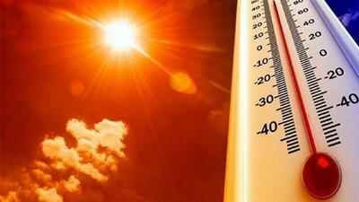 صدور فراخوان اضطراری به مرغداران مازندرانی؛ قطعی برق و گرمای ۴۰ درجه، تهدید جدی برای گلههای طیور