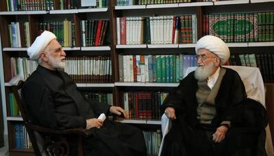  آیت‌الله نوری همدانی: برخورد قاطع با اخلالگران امنیت و اقتصاد، مطالبه مردم است