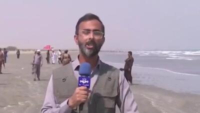  مردم جاسک اسلحه به دست لب ساحل منتظر نیرو‌های آمریکایی هستند