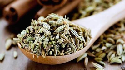 معجزه رازیانه در دوران شیردهی؛ حقیقت علمی یا ادعای بیاساس؟