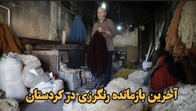  فیلم| آخرین بازمانده رنگرزی گیاهی در کردستان