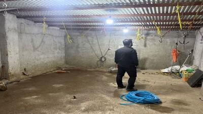  کشف ۲ محل کشتار غیرمجاز دام در تبریز