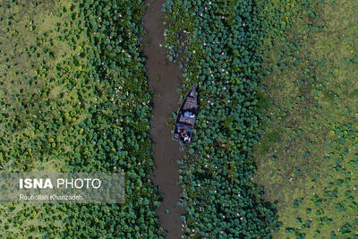 احیای تالاب انزلی با اولویت طرح های هیدرودینامیک