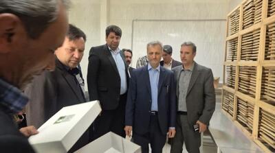 حمایت از سرمایه گذار و احیای واحدهای راکد تولیدی دو راهبرد توسعه راز و جرگلان
