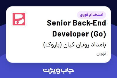  استخدام Senior Back-End Developer (Go) در بامداد رویان کیان (باروک)