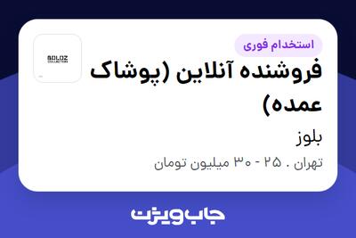  استخدام فروشنده آنلاین (پوشاک عمده) در بلوز