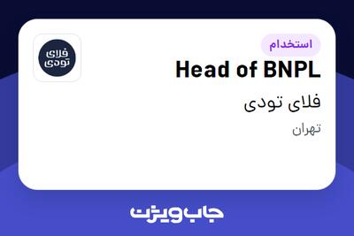  استخدام Head of BNPL در فلای تودی