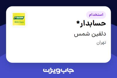  استخدام حسابدار* در دلفین شمس
