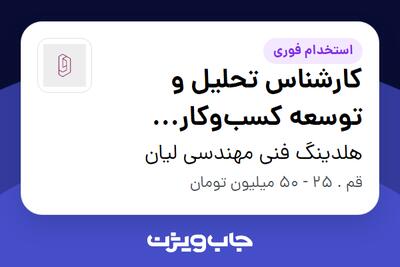  استخدام کارشناس تحلیل و توسعه کسب‌وکار (استراتژی) در هلدینگ فنی مهندسی لیان