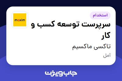  استخدام سرپرست توسعه کسب و کار - آقا در تاکسی ماکسیم