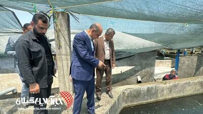  بازدید استاندار گیلان از واحد پرورش ماهیان خاویاری در تالش