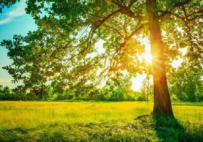 تداوم هوای گرم در مازندران؛ کاهش نسبی دما از سهشنبه