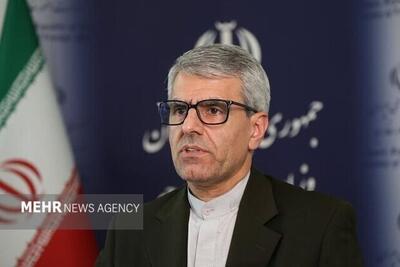 بقائی: اولویت ایران دفاع در برابر جنایات آمریکا است