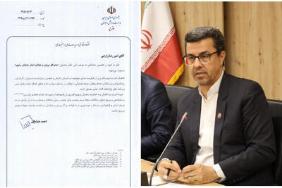 «امیررضا زارعی» مدیرکل ورزش و جوانان خراسان رضوی شد