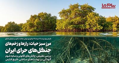 حفاظت از جنگلهای حرا