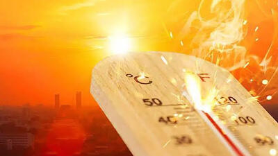 شهرها در جستوجوی سایه