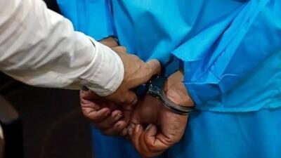 فیلم صحنه قداره کشی یک گنده لات در بزرگراه صدر تهران / پلیس شبیخون زد