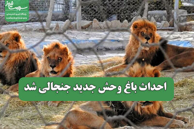 احداث باغ وحش جدید جنجالی شد