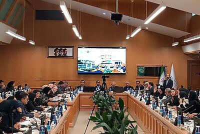 بانوان، مدیر ۸۰ درصد از کسبوکارهای خانگی در خراسان رضوی | توانمندسازی، حلقه مفقوده اشتغالزایی بانوان