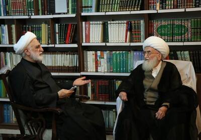  آیت‌الله نوری‌همدانی: برخورد با اخلالگران اقتصاد مطالبه مردم است - تسنیم