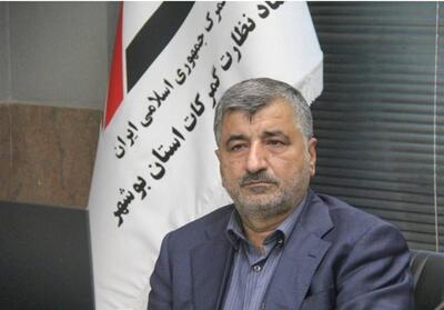  بیش از 201 هزار تن کالا در 40 روز از گمرکات بوشهر ترخیص شد - تسنیم