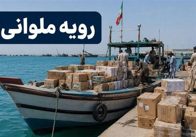 ابطال بخشی از آییننامه ساماندهی مبادلات مرزی؛تغییر در ضوابط خروج کالا - تسنیم