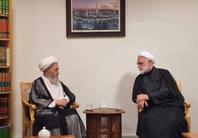  دیدار رئیس قوه قضاییه با آیت‌الله سبحانی - تسنیم