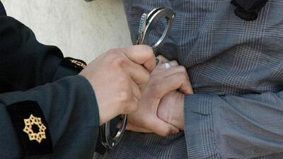 انتقام زن همسایه با طراحی سرقت ۴۵ میلیارد ریالی از منزل دوستش؛ طعمه را به استخر کشاند