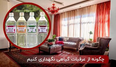 چگونه از عرقیات گیاهی نگهداری کنیم