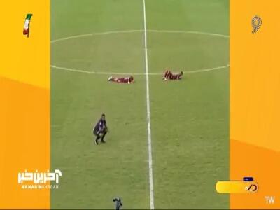 هجوم زنبورها به زمین فوتبال