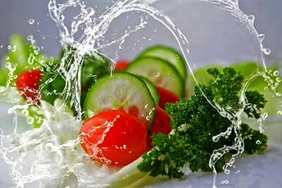 با این خوراکیها آب بدنتان را تأمین کنید