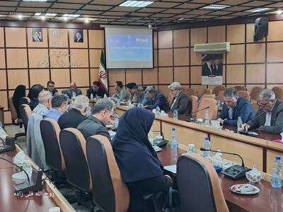  برگزاری سومین جلسه ستاد ساماندهی امور جوانان شهرستان شهریار با حضور رئیس اداره ورزش و جوانان