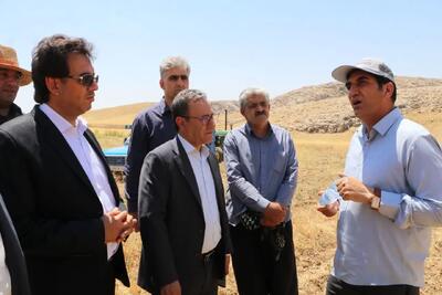 رتبه دوم لرستان در تولید نخود در کشور