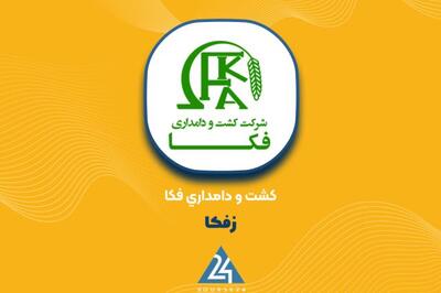  خبرهای مهم از «زفکا»: حاشیه سود به ۲۰ درصد رسید؛ خرید ۴۰۰ رأس گاو